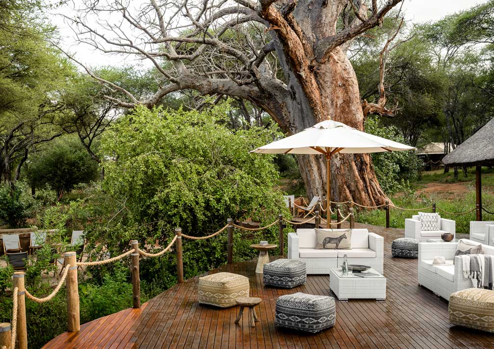 Accommodations in Tarangire National Park: Where to Stay (2026)