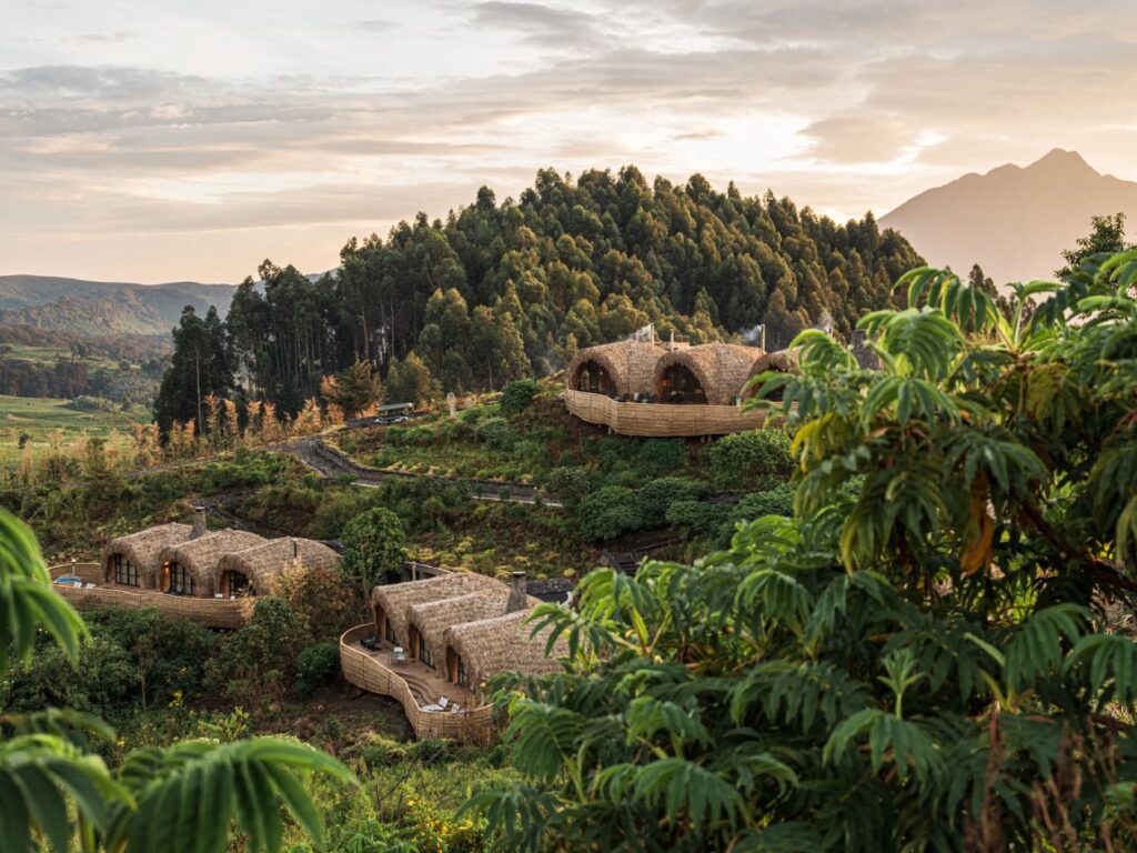 Bisate Lodge Rwanda: Luxury Gorilla Trekking Retreat