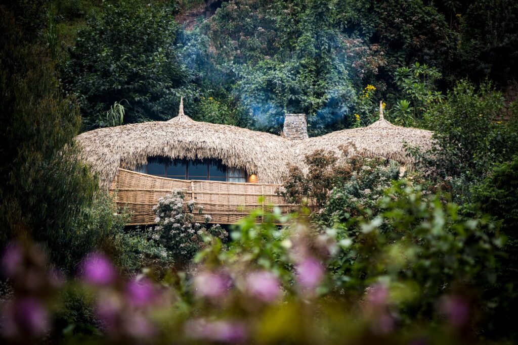Bisate Lodge Rwanda: Luxury Gorilla Trekking Retreat