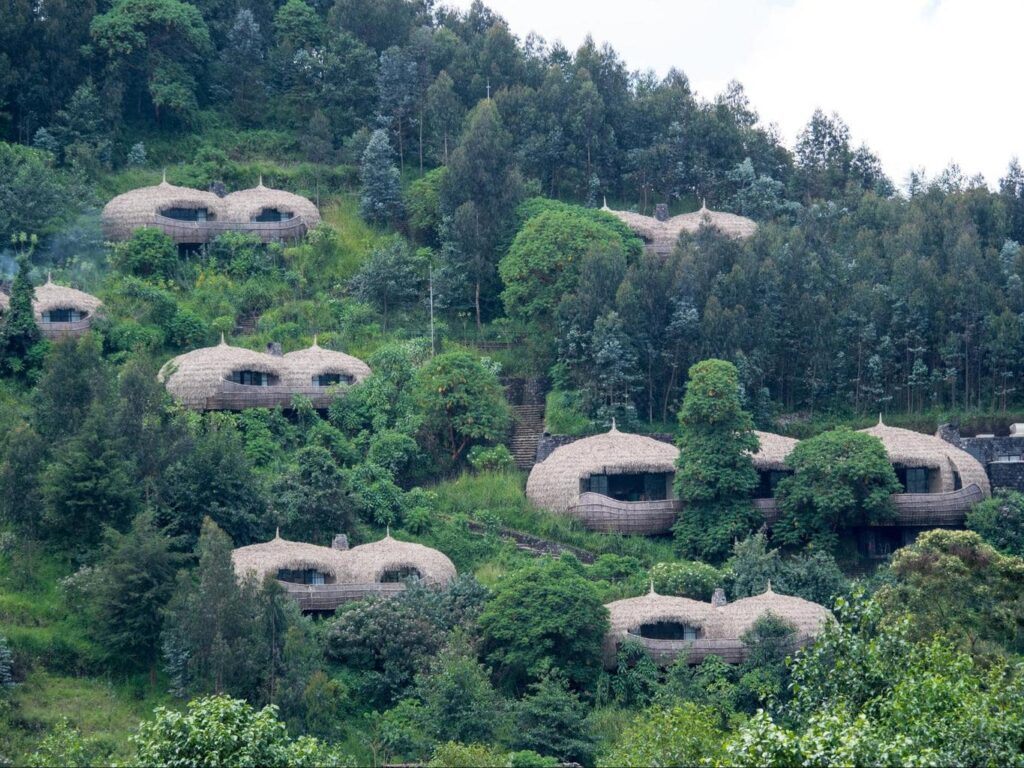Bisate Lodge Rwanda: Luxury Gorilla Trekking Retreat