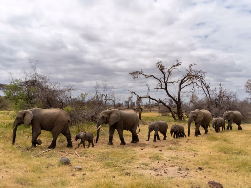 Attractions in Lake Manyara National Park