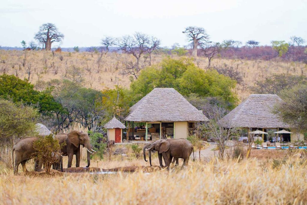 Maweninga Camp