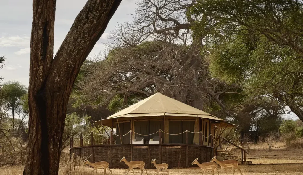 Sanctuary Swala Camp