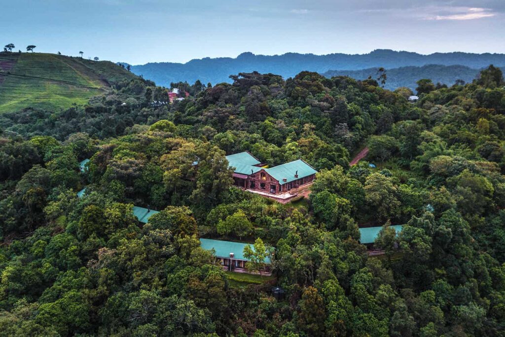 Clouds Mountain Gorilla Lodge, Bwindi