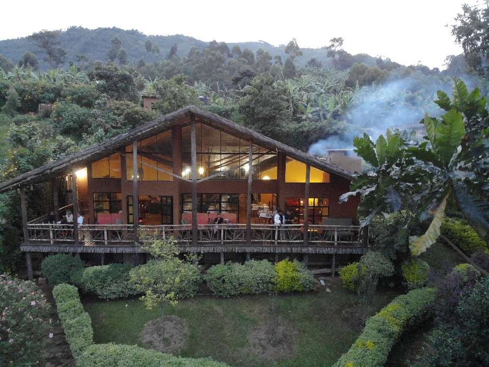 Mahogany Springs Lodge, Bwindi Impenetrable Forest