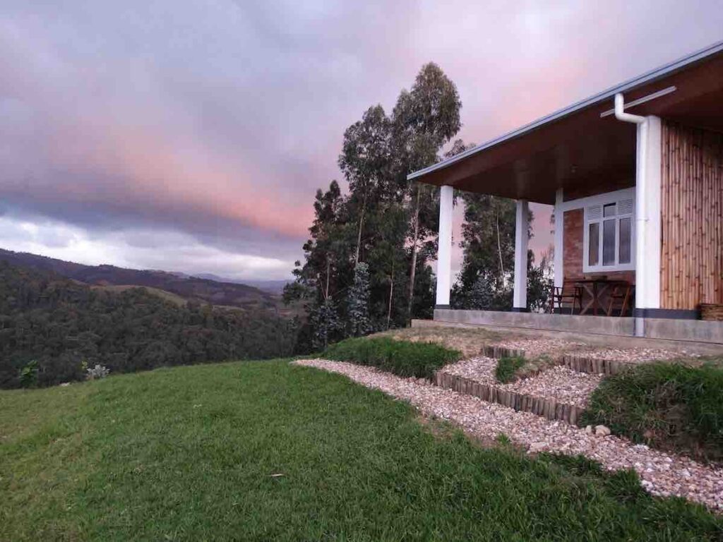 Gishwati Mukura National Park. Forest of Hope Guest house